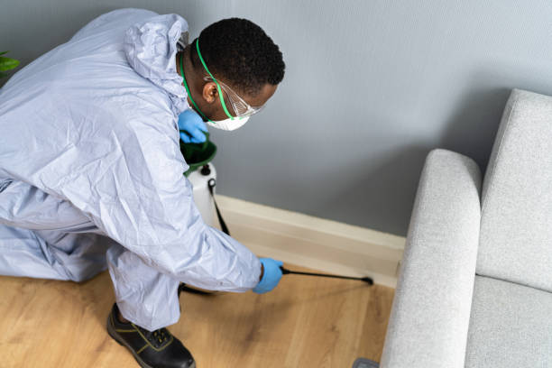 Best Fumigation Services  in Eastwood, LA